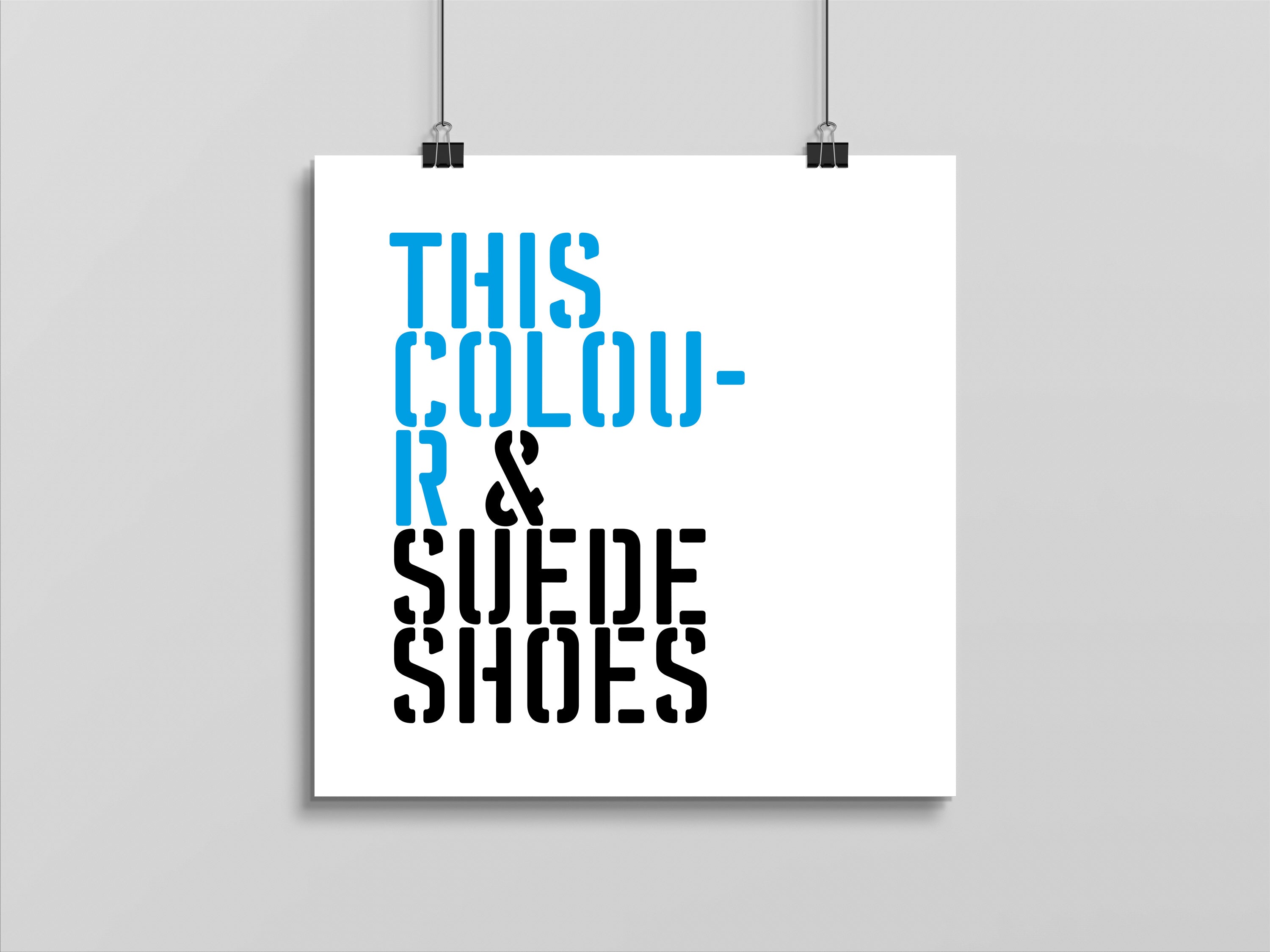 This Colour & Suede Shoes