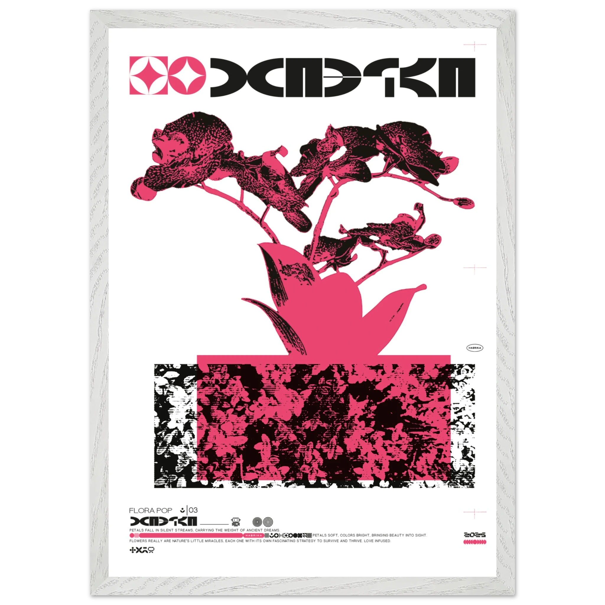 daa3d0e2-e44c-4269-9bc2-4c744bc57196